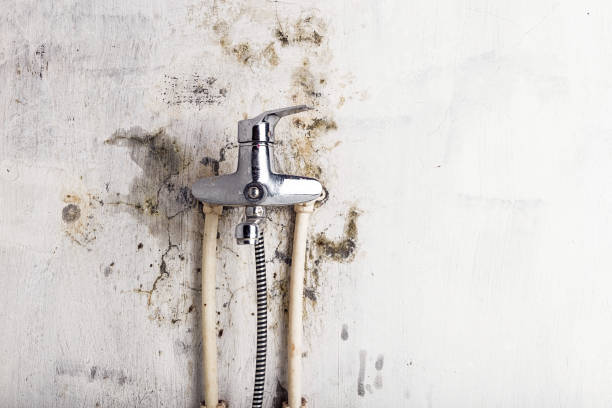 Best Water Damage Restoration  in Southside, AR