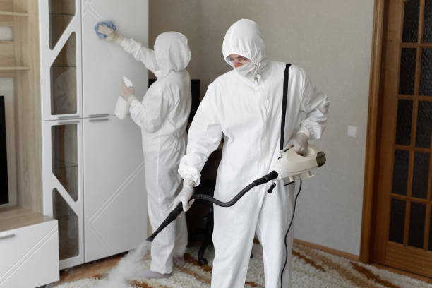 Crawl Space Mold Removal in Southside, AR