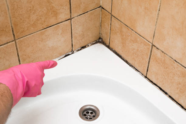 Water Damage Restoration in Southside, AR